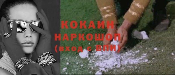 сатива Надым
