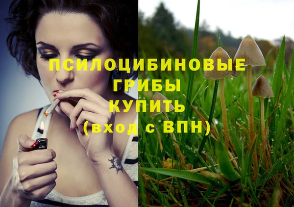 сатива Надым