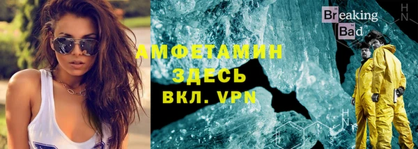 сатива Надым